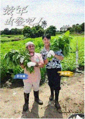 奔跑吧12 综艺节目在线